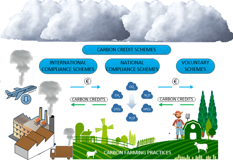 Carbon farming practices